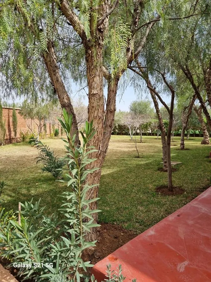 Riad Les Deux Citronniers Marrakesh